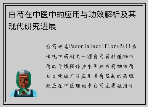 白芍在中医中的应用与功效解析及其现代研究进展